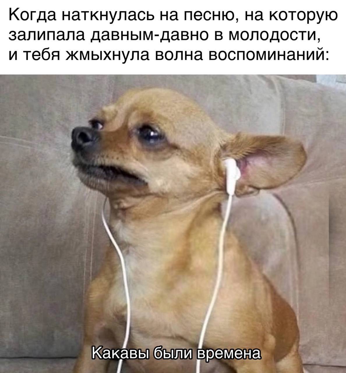 Когда наткнулась на песню, на которую залипала давным-давно в молодости, и тебя жмыхнула волна воспоминаний: Какавы были времена