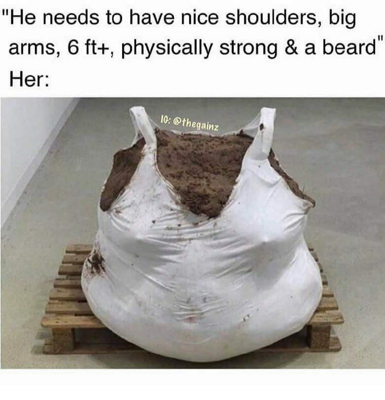 "Не needs to have nice shoulders, big arms, 6 physically strong a beard’ Her: