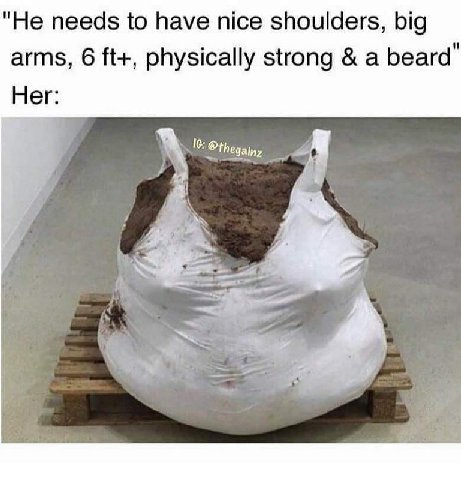 "Не needs to have nice shoulders, big arms, 6 physically strong a beard’ Her:
