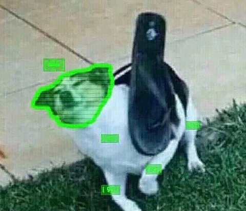 Шаа