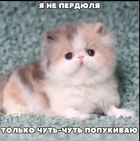 ЯНЕ ПЕРДЮЛЯ только ЧУТЬ-ЧУТЬ ПОПУКИВАЮ