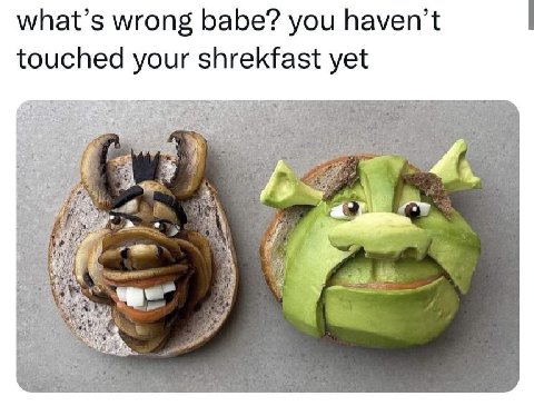 what’s wrong babe? you haven’t touched your shrekfast yet РЕВ 4. 4 4:2 2