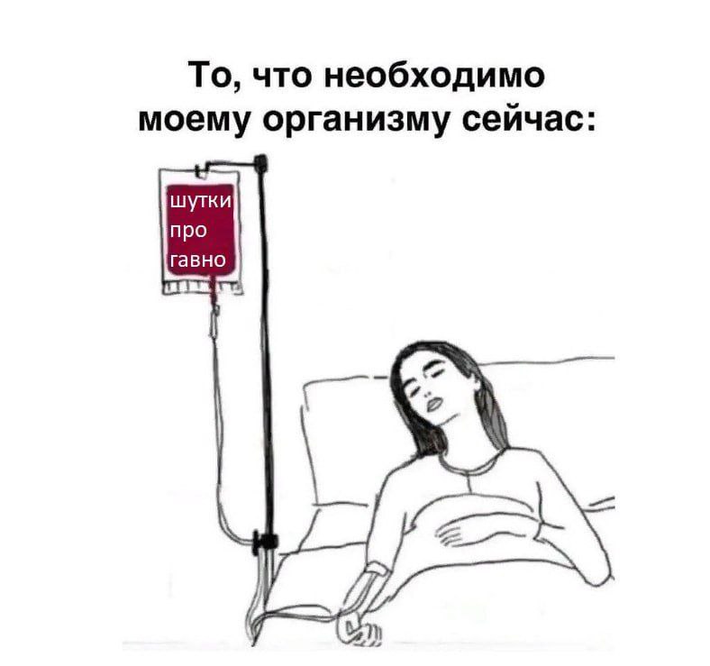 То, что необходимо моему организму сейчас: шутки про гавно