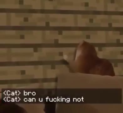 <Cat> bro not