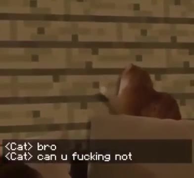 <Cat> bro not