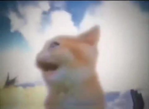 ry