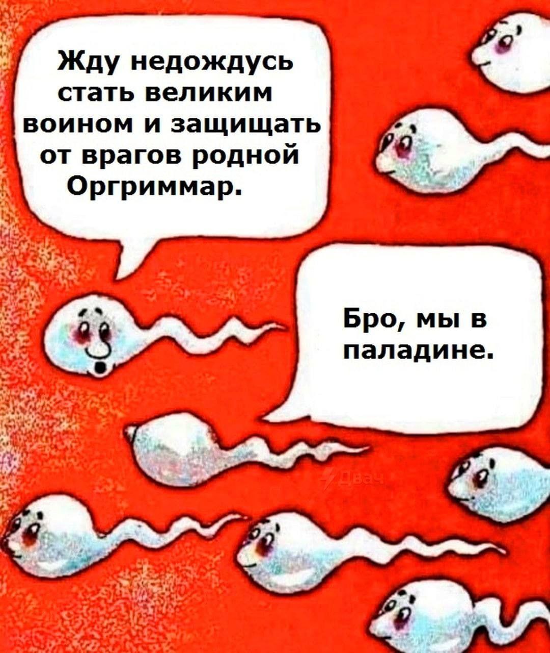 Жду недождусь стать великим воином и защищать от врагов родной Оргриммар. Бро, мы в паладине. я 7 An