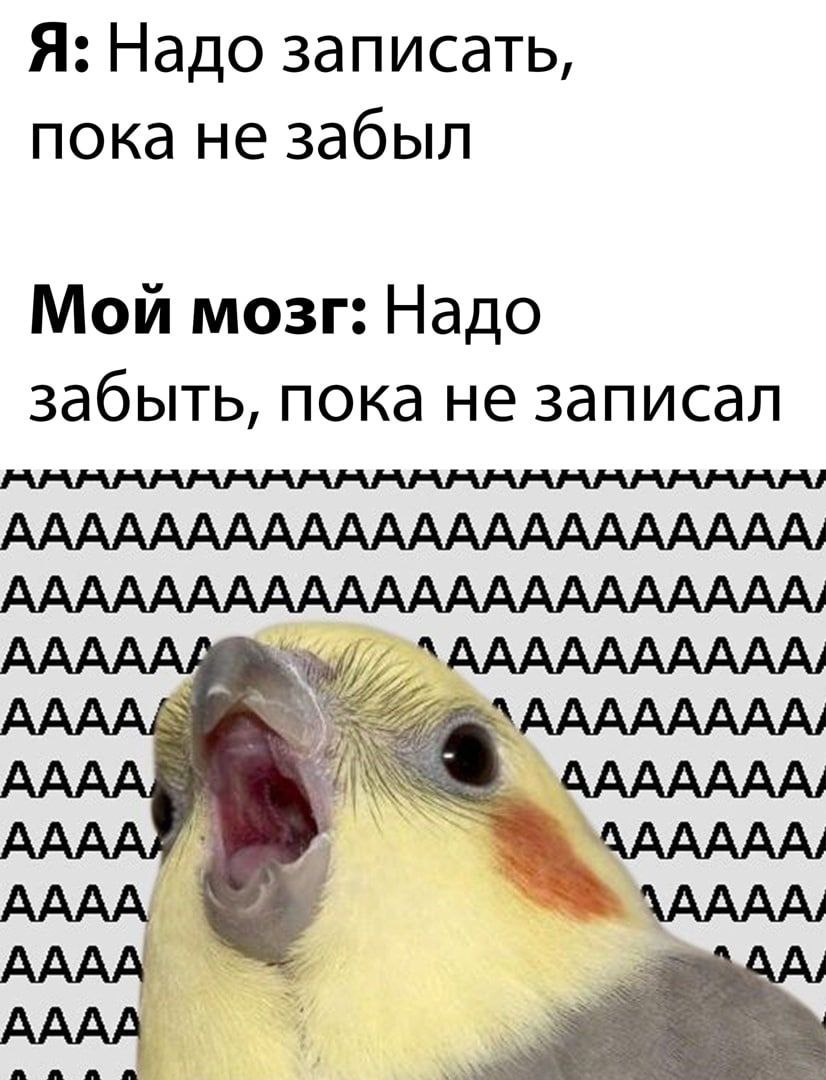 Я: Надо записать, пока не забыл Мои мозг: Надо забыть, пока не записал АААААААААААААААААААААА, АААААААААААААААААААААА,
