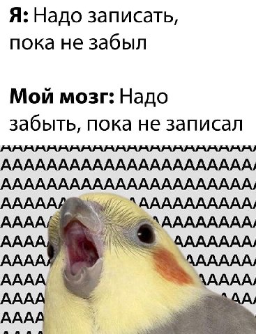 Я: Надо записать, пока не забыл Мои мозг: Надо забыть, пока не записал АААААААААААААААААААААА, АААААААААААААААААААААА,