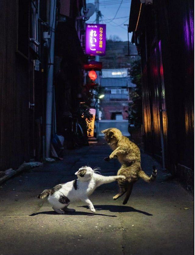 4 “a 4 О 4 i