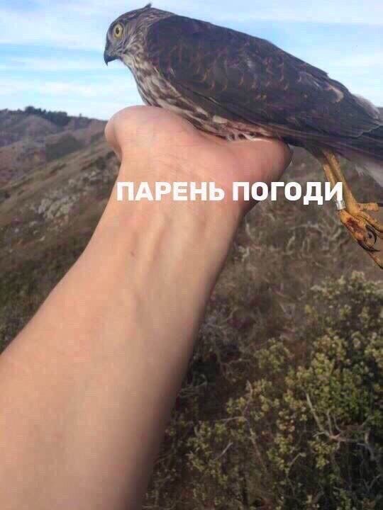 ПАРЕНЬ ПОГОДИ