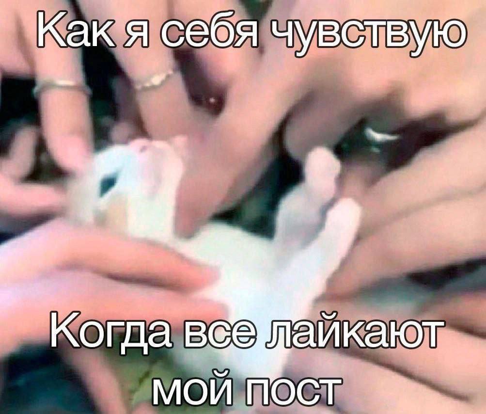 raka себя чувствую Когда МОЙ ПОСТ