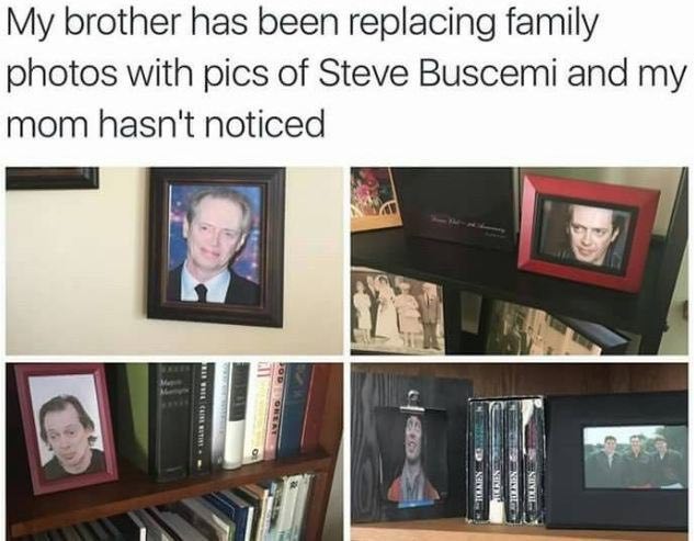 My brother has been replacing family photos with pics of Steve Buscemi and my mom hasn't noticed