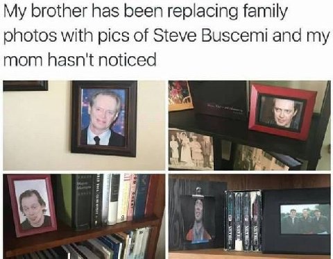 My brother has been replacing family photos with pics of Steve Buscemi and my mom hasn't noticed