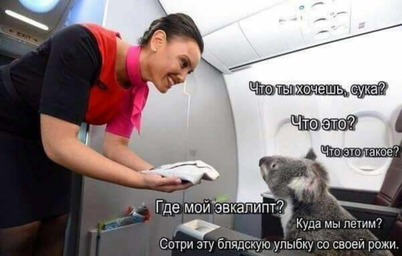 4 3 Где мой эвкалипт? Куда мы Сотри эту блядскую улыбку своей рожи.