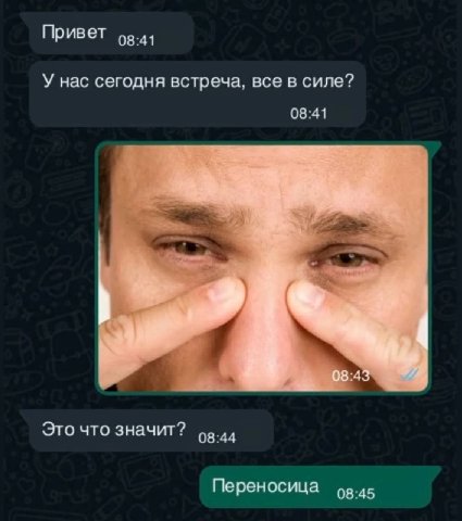 Привет 08:41 У нас сегодня встреча, все в силе? 08:41 Это что значит? 08:44 Переносица