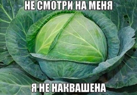 НЕ СМОТРИ НА МЕНЯ Я НЕНАКВАШЕНА
