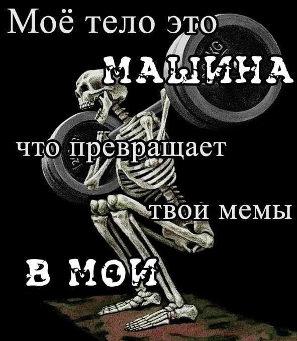 тело это, A gil ALIMHA что превращает мемы в мой