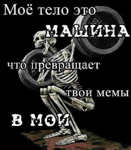 тело это, A gil ALIMHA что превращает мемы в мой