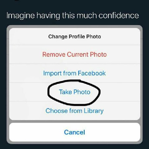 having this much confidence Change Profile Photo Remove Current Photo Import from Facebook Choose from Library Cancel