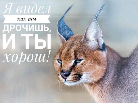 как ты хорош!