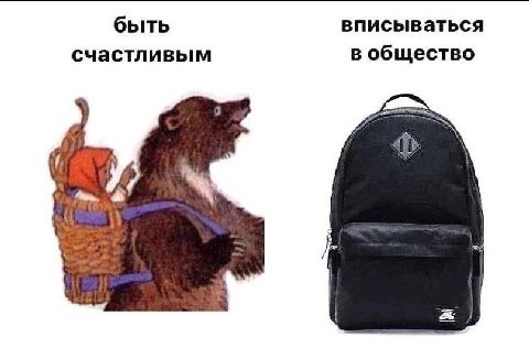 быть вписываться счастливым в общество