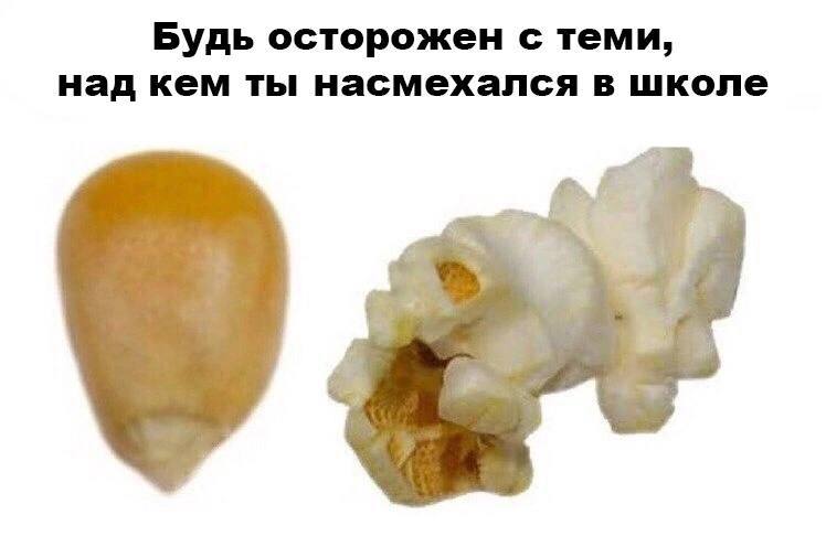 это мем-подборка-чекпоинт:
если вы её видите, 
я вас люблю!