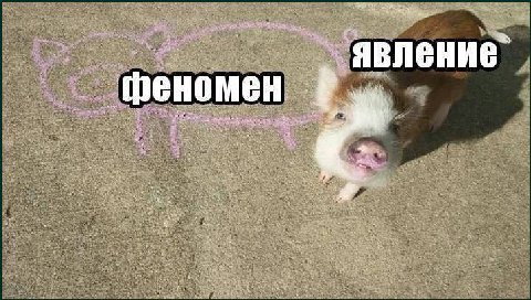 феномен