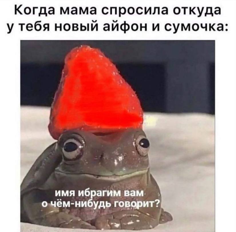 Когда мама спросила откуда у тебя новый айфон и сумочка имя ибрагим вам. о чём-ни удь говорит?