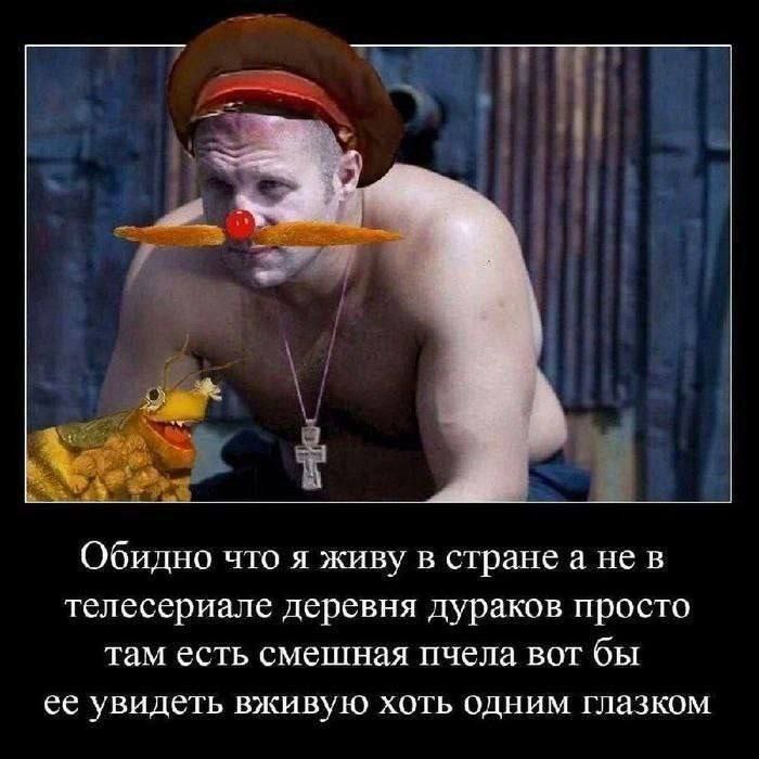 4 Обидно что я живу в стране а нев телесериале деревня дураков просто там есть смешная пчела вот бы ее увидеть вживую хоть одним глазком