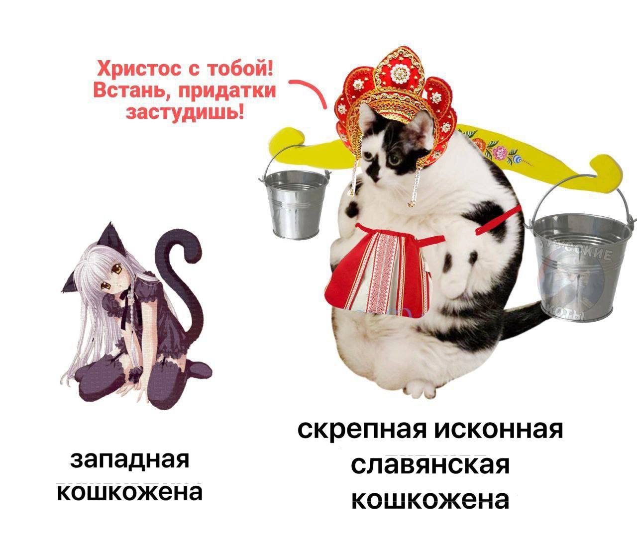 Христос с тобой! Встань, придатки застудишь! и скрепная исконная западная славянская кошкожена кошкожена
