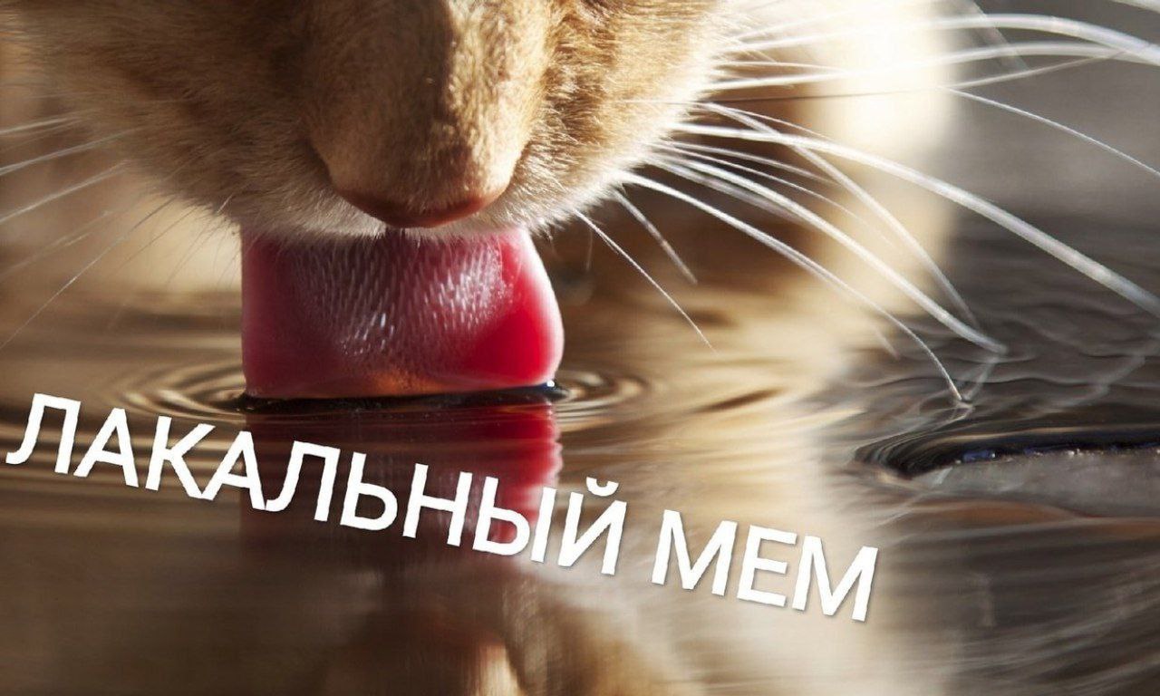 a АКАЛЬ у