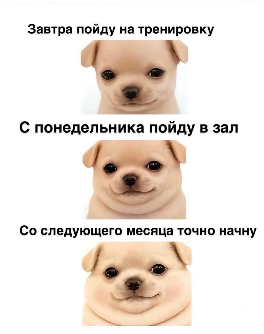 Завтра пойду на тренировку С понедельника пойду в зал следующего месяца точно начну 4