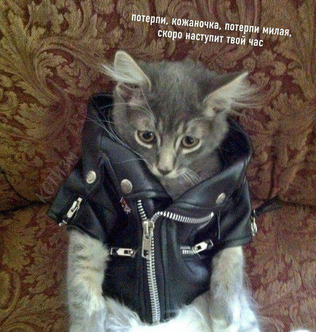 потерпи, кожаночка, потерпи милая, Скоро наступит твой час 4 и. 1, a