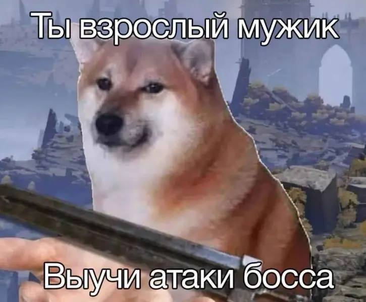 Ты взрослый мужик Выучи атаки босса