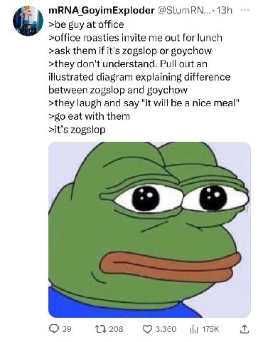 mRNA GoyimExploder >be guy at office >office roasties invite me out for lunch >ask them if it's zogslop or goychow >they don't understand. Pull out an illustrated diagram explaining difference between