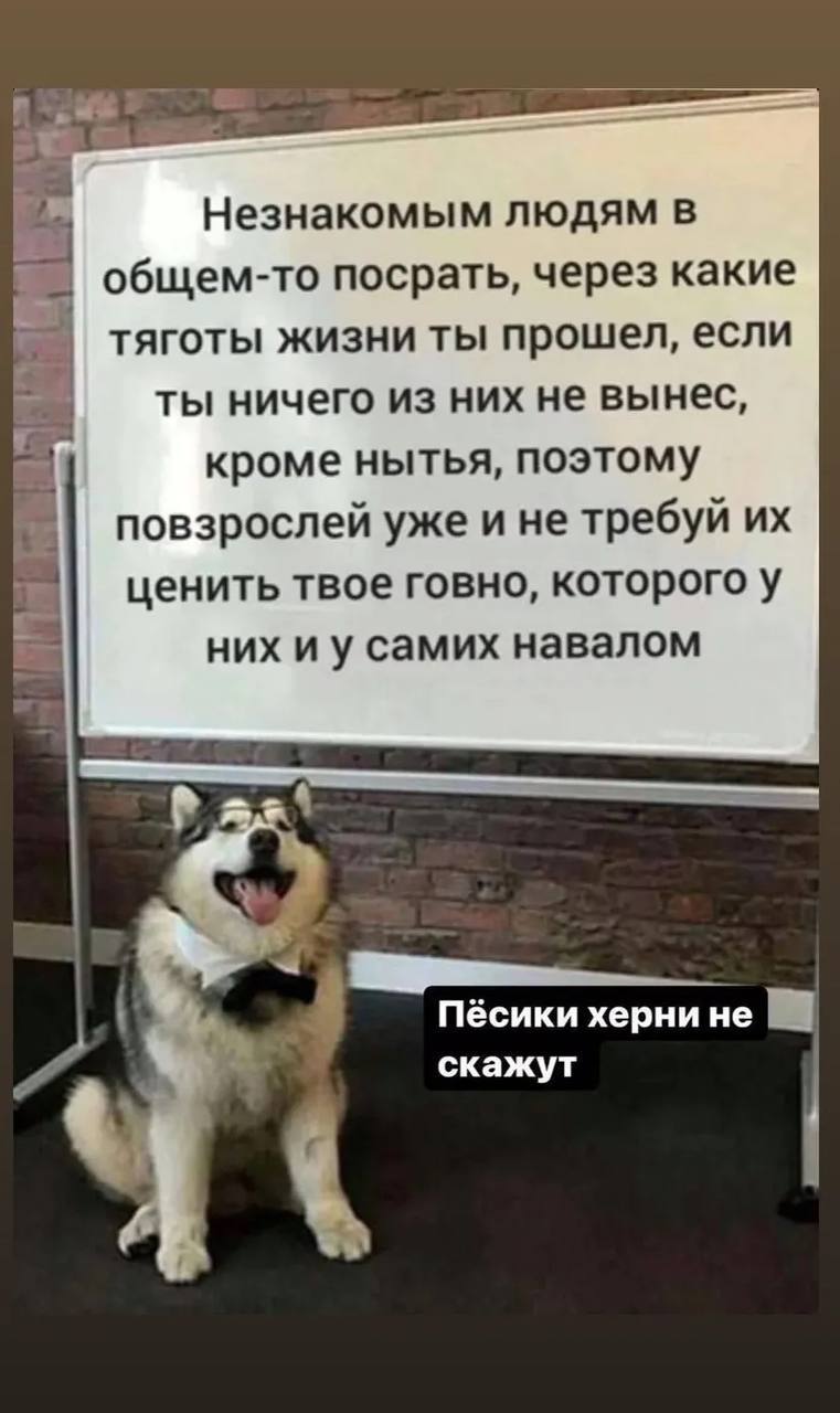 Незнакомым людям в общем-то посрать, через какие тяготы жизни ты прошел, если ты ничего из них не вынес, кроме нытья, поэтому повзрослей уже и не требуй ценить твое говно, которого у них самих навалом