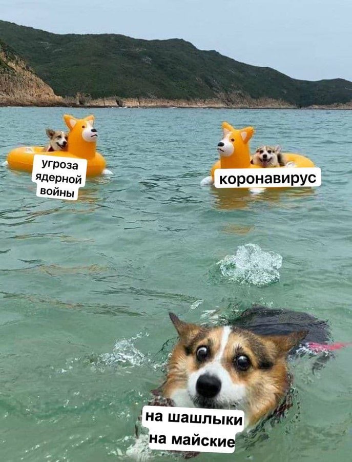 Угроза ядерно коронавирус at на шашлыки на майские At