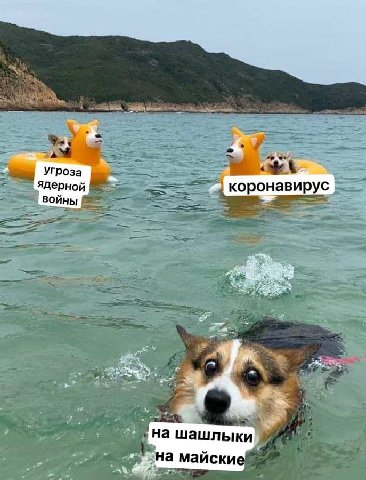 Угроза ядерно коронавирус at на шашлыки на майские At