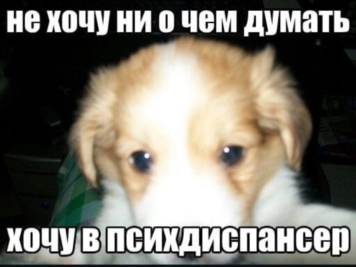 He хочу НИ Чем думать