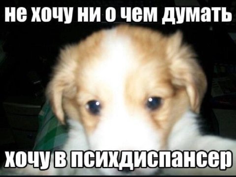 He хочу НИ Чем думать