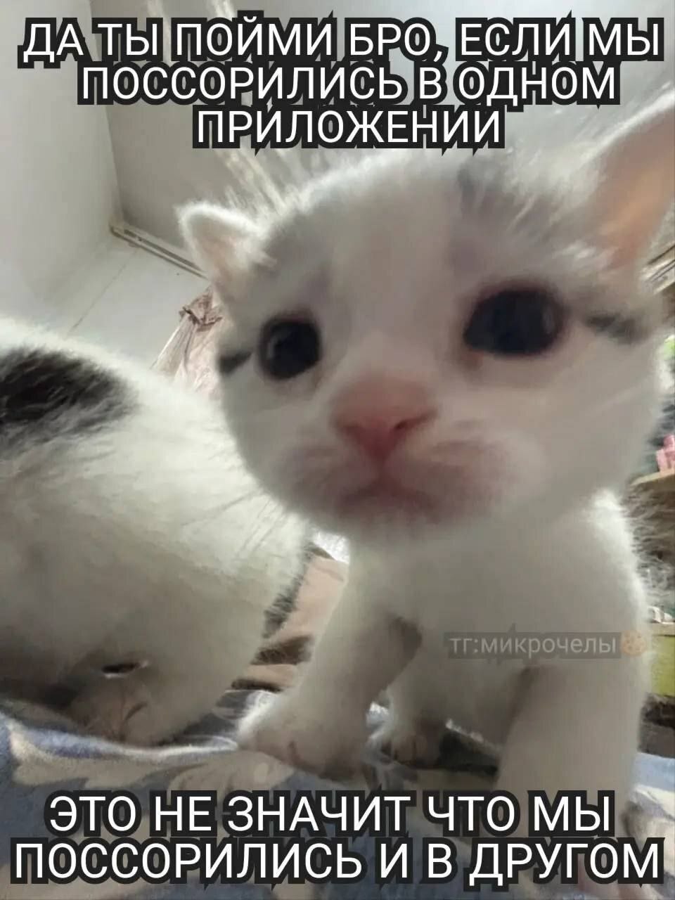 ДАТЫ ПОЙМИ BPO! ЕСЛИМЫ ПОССОРИЛИСЬ одно ПРИЛОЖЕНИИ ЭТО НЕ ЗНАЧИТ ЧТО МЫ ПОССОРИЛИСЬ И В ДРУГОМ