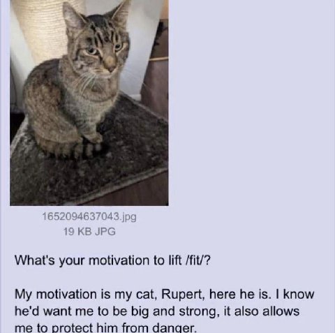 Rupert is best thing on 4chan