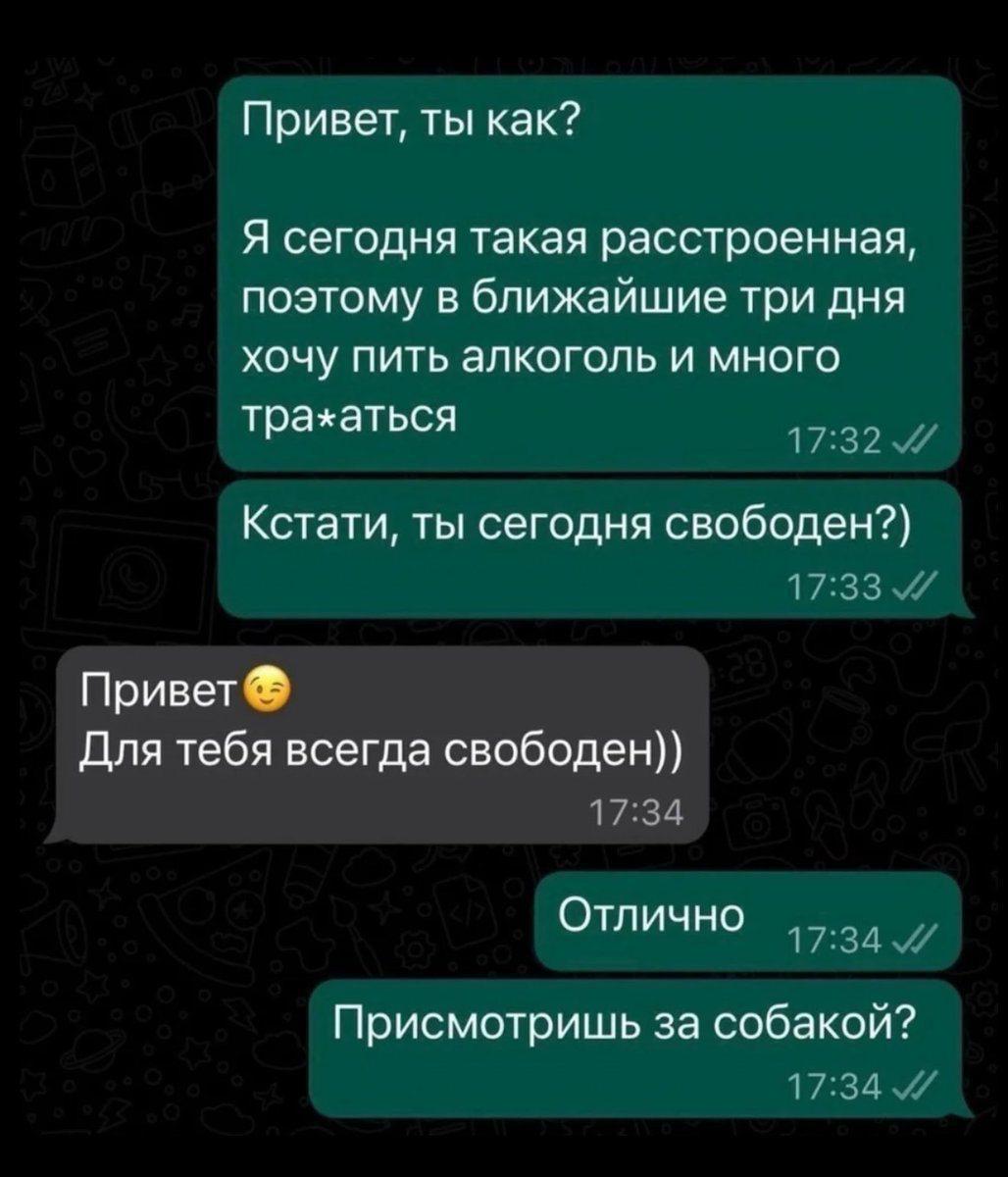 Привет, ты как? Я сегодня такая расстроенная, поэтому в ближайшие три дня хочу пить алкоголь и много трахаться Кстати, ты сегодня свободен?) Привет Для тебя всегда свободен)) Отлично Присмотришь за со