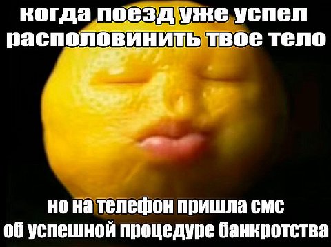 когда поездуже успел пасполовинить твое тело но на телефон пришла смс об успешной процедуре банкротства