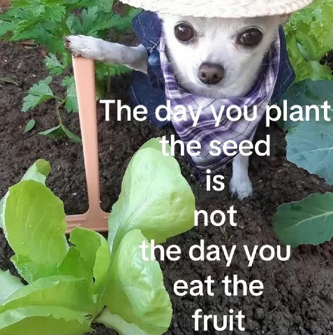 The plant seed IS day you eat the fruit