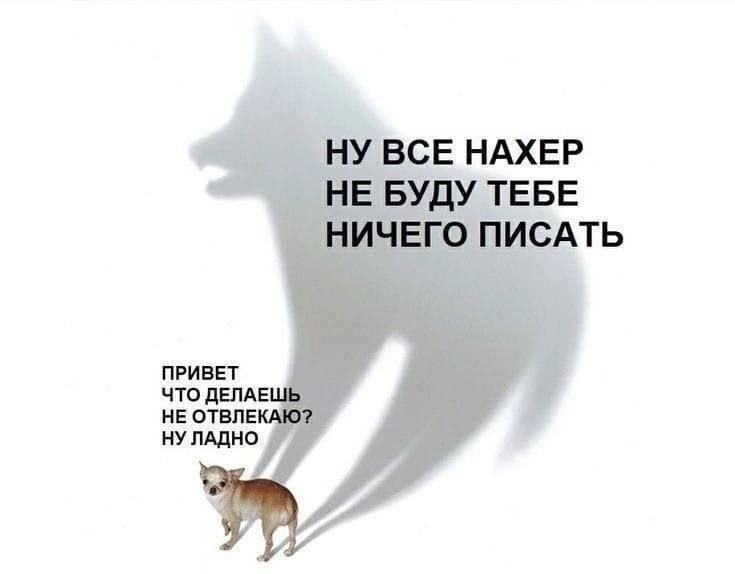 BCE HAXEP НЕ БУДУ TEBE НИЧЕГО ПИСАТЬ ПРИВЕТ ЧТО ДЕЛАЕ НЕ НУ ЛАДНО