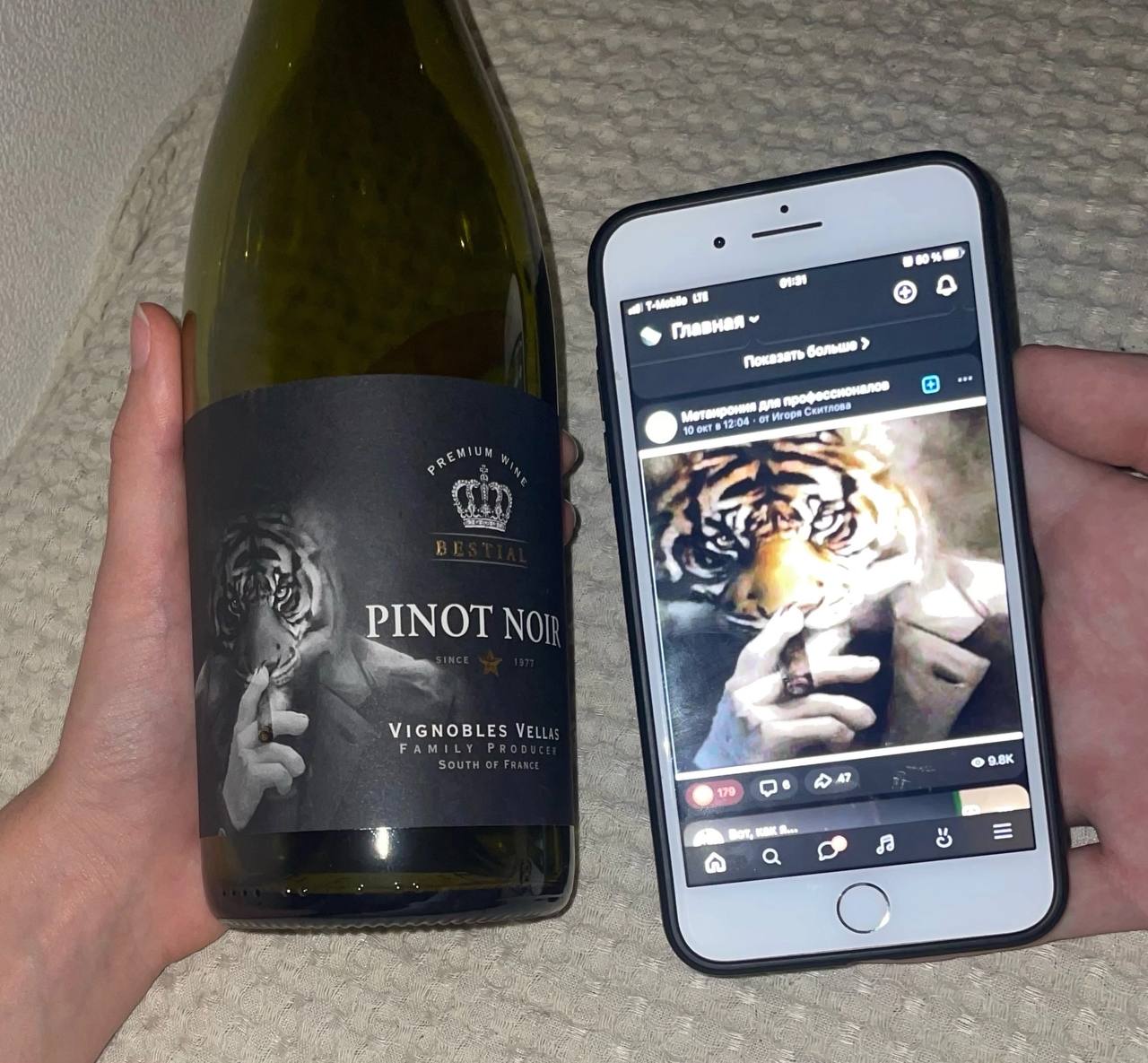 о OF VIGNOBLES on