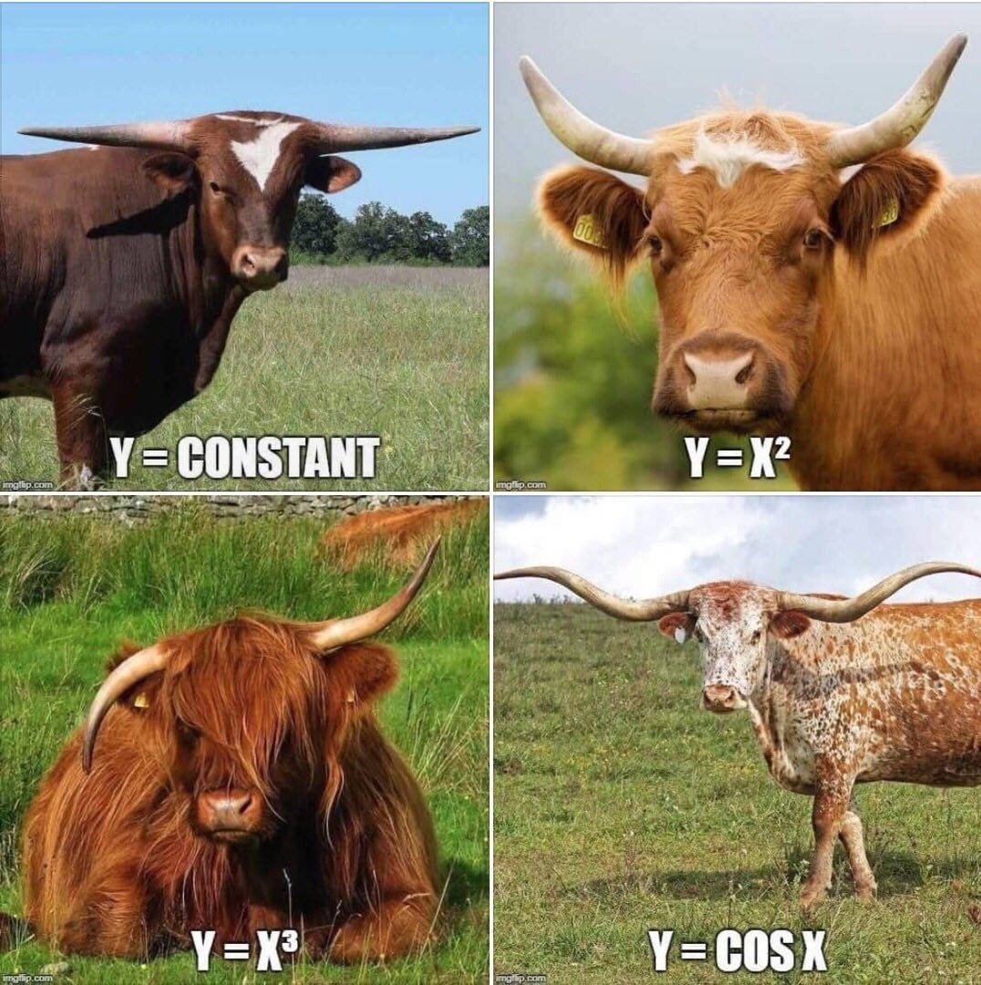 V=CONSTANT