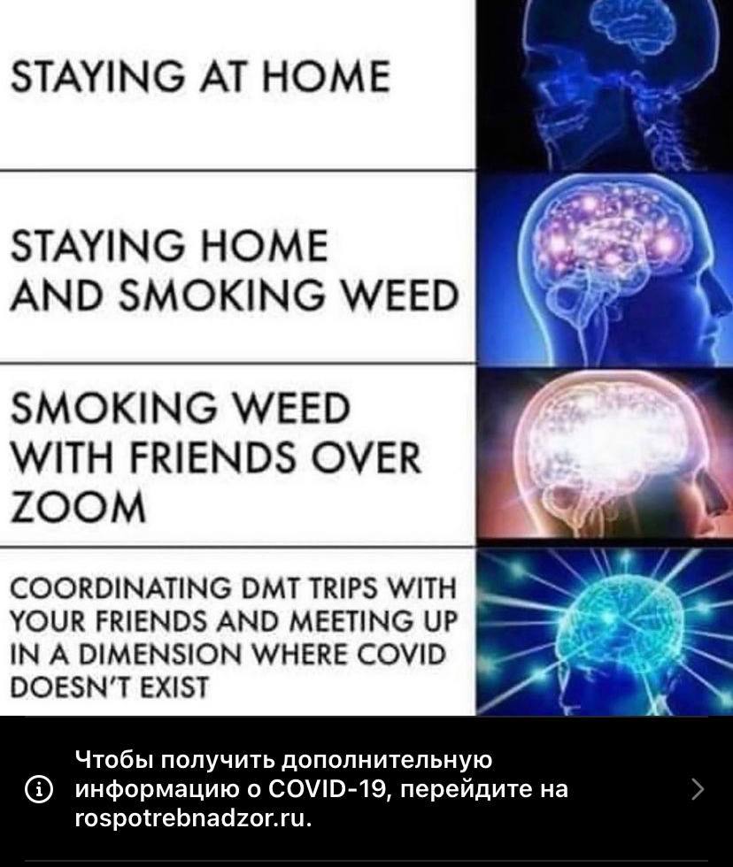 STAYING AT HOME STAYING HOME AND SMOKING WEED SMOKING WEED WITH FRIENDS OVER ZOOM YOUR FRIENDS AND MEETING UP COORDINATING DMT TRIPS WITH IN A DIMENSION WHERE COVID DOESN'T EXIST Чтобы получить дополн